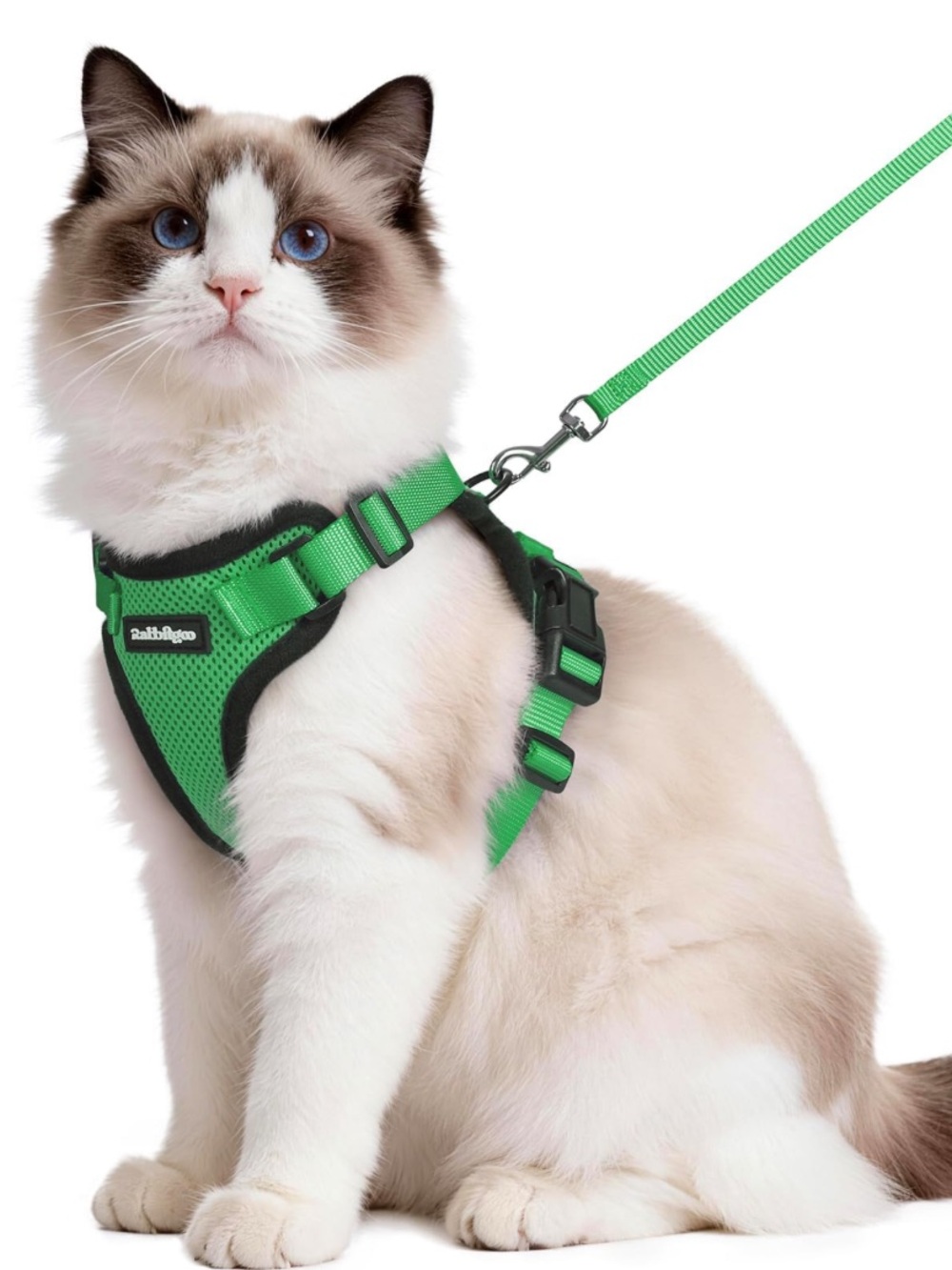 NWOT Dog Cat Harness and Leash Set